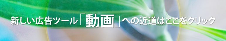 オリジナル動画制作が驚きの低価格で!